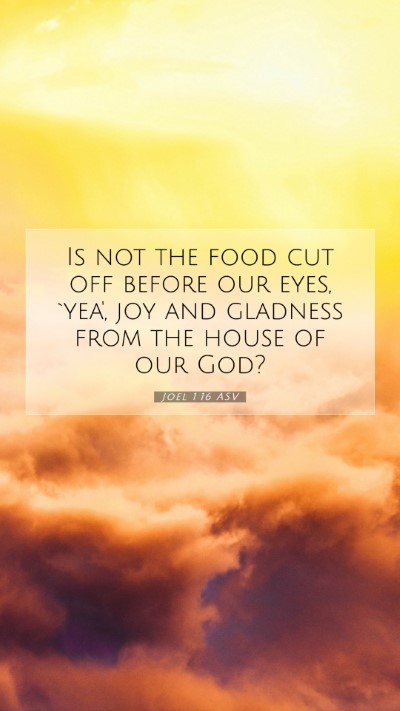 Picture 07 - Joel 1:16 ASV Mobile Phone Wallpaper - Is not the food cut off before our eyes, `yea', - Mobile Bible Verse Wallpaper