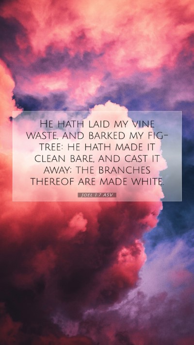 Picture 07 - Joel 1:7 ASV Mobile Phone Wallpaper - He hath laid my vine waste, and barked my - Mobile Bible Verse Wallpaper