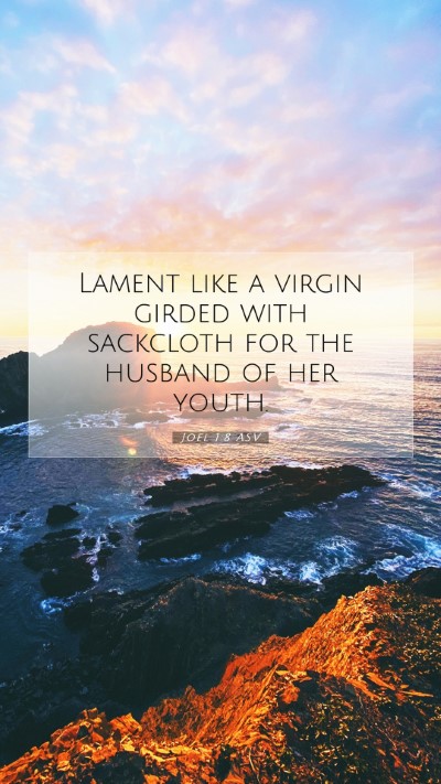 Picture 07 - Joel 1:8 ASV Mobile Phone Wallpaper - Lament like a virgin girded with sackcloth for - Mobile Bible Verse Wallpaper