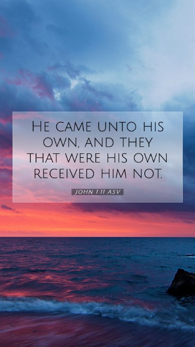 Picture 07 - John 1:11 ASV Mobile Phone Wallpaper - He came unto his own, and they that were his own - Mobile Bible Verse Wallpaper