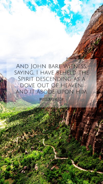 Picture 07 - John 1:32 ASV Mobile Phone Wallpaper - And John bare witness, saying, I have beheld the - Mobile Bible Verse Wallpaper