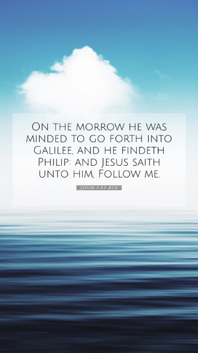 Picture 07 - John 1:43 ASV Mobile Phone Wallpaper - On the morrow he was minded to go forth into - Mobile Bible Verse Wallpaper