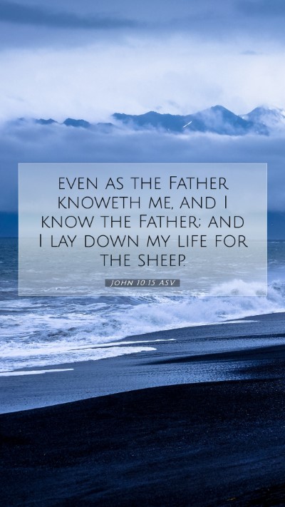 Picture 07 - John 10:15 ASV Mobile Phone Wallpaper - even as the Father knoweth me, and I know the - Mobile Bible Verse Wallpaper