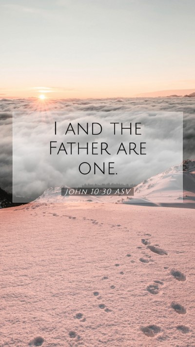 Picture 07 - John 10:30 ASV Mobile Phone Wallpaper - I and the Father are - Mobile Bible Verse Wallpaper
