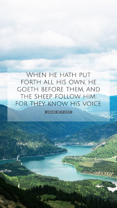 Picture 07 - John 10:4 ASV Mobile Phone Wallpaper - When he hath put forth all his own, he goeth - Mobile Bible Verse Wallpaper