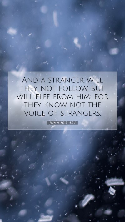 Picture 07 - John 10:5 ASV Mobile Phone Wallpaper - And a stranger will they not follow, but will - Mobile Bible Verse Wallpaper