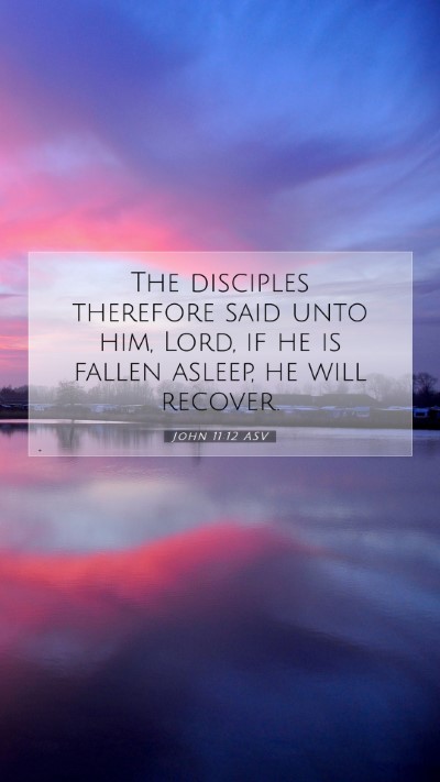 Picture 07 - John 11:12 ASV Mobile Phone Wallpaper - The disciples therefore said unto him, Lord, if - Mobile Bible Verse Wallpaper
