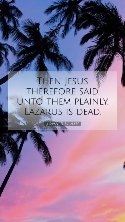Picture 07 - John 11:14 ASV Mobile Phone Wallpaper - Then Jesus therefore said unto them plainly, - Mobile Bible Verse Wallpaper