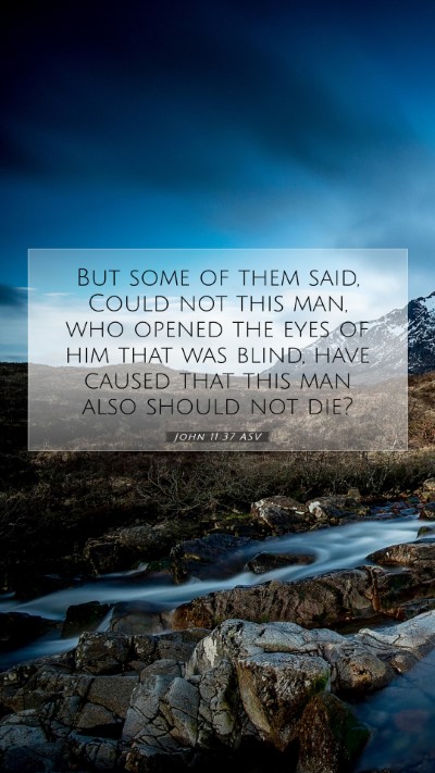 Picture 07 - John 11:37 ASV Mobile Phone Wallpaper - But some of them said, Could not this man, who - Mobile Bible Verse Wallpaper