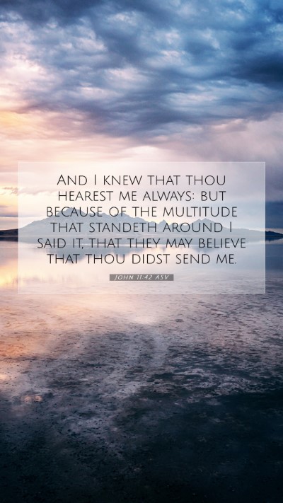 Picture 07 - John 11:42 ASV Mobile Phone Wallpaper - And I knew that thou hearest me always: but - Mobile Bible Verse Wallpaper