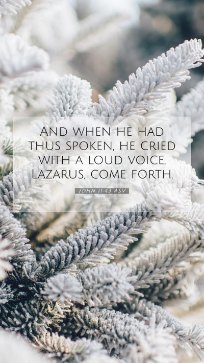Picture 07 - John 11:43 ASV Mobile Phone Wallpaper - And when he had thus spoken, he cried with a loud - Mobile Bible Verse Wallpaper