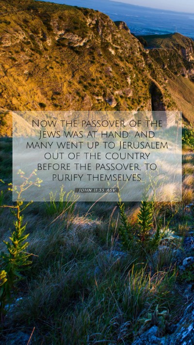 Picture 07 - John 11:55 ASV Mobile Phone Wallpaper - Now the passover of the Jews was at hand: and - Mobile Bible Verse Wallpaper