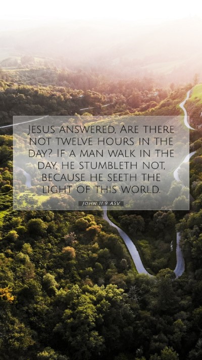 Picture 07 - John 11:9 ASV Mobile Phone Wallpaper - Jesus answered, Are there not twelve hours in the - Mobile Bible Verse Wallpaper