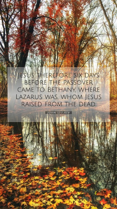 Picture 07 - John 12:1 ASV Mobile Phone Wallpaper - Jesus therefore six days before the passover came - Mobile Bible Verse Wallpaper