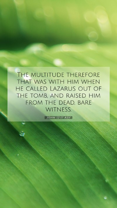 Picture 07 - John 12:17 ASV Mobile Phone Wallpaper - The multitude therefore that was with him when he - Mobile Bible Verse Wallpaper