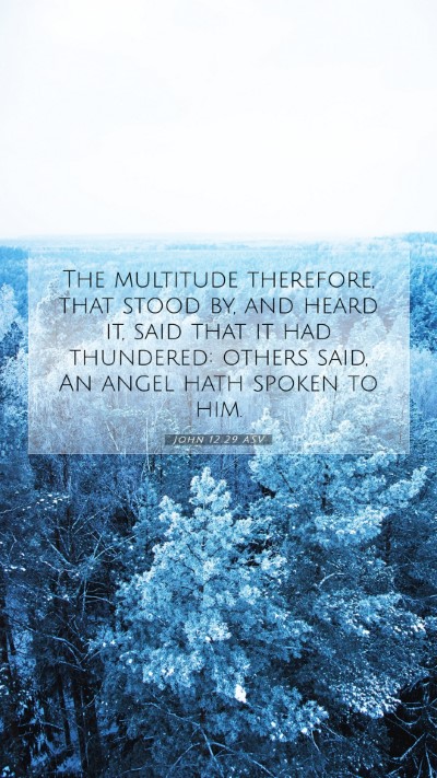 Picture 07 - John 12:29 ASV Mobile Phone Wallpaper - The multitude therefore, that stood by, and heard - Mobile Bible Verse Wallpaper