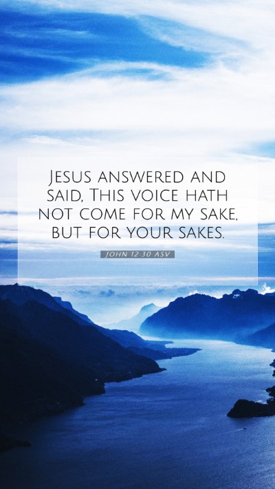 Picture 07 - John 12:30 ASV Mobile Phone Wallpaper - Jesus answered and said, This voice hath not come - Mobile Bible Verse Wallpaper