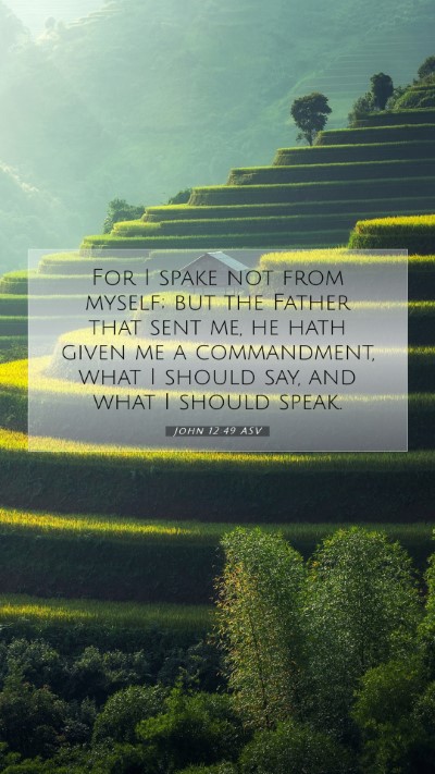 Picture 07 - John 12:49 ASV Mobile Phone Wallpaper - For I spake not from myself; but the Father that - Mobile Bible Verse Wallpaper