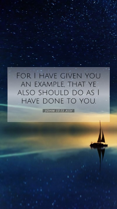 Picture 07 - John 13:15 ASV Mobile Phone Wallpaper - For I have given you an example, that ye also - Mobile Bible Verse Wallpaper