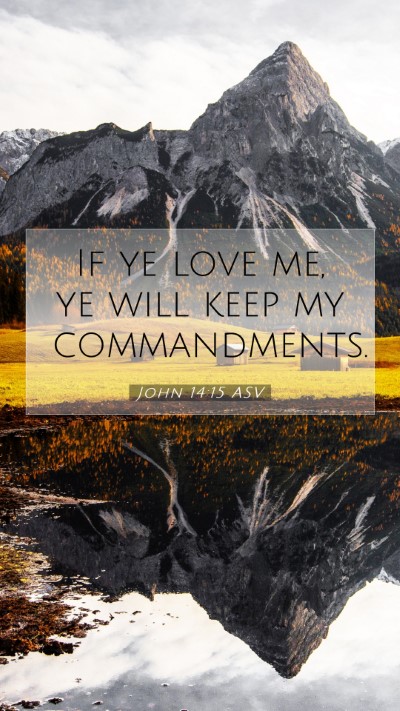 Picture 07 - John 14:15 ASV Mobile Phone Wallpaper - If ye love me, ye will keep my - Mobile Bible Verse Wallpaper