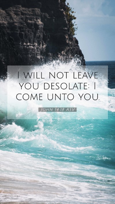Picture 07 - John 14:18 ASV Mobile Phone Wallpaper - I will not leave you desolate: I come unto - Mobile Bible Verse Wallpaper