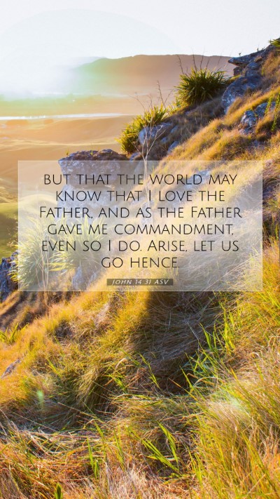 Picture 07 - John 14:31 ASV Mobile Phone Wallpaper - but that the world may know that I love the - Mobile Bible Verse Wallpaper