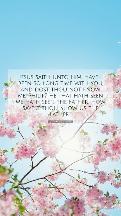 Picture 07 - John 14:9 ASV Mobile Phone Wallpaper - Jesus saith unto him, Have I been so long time - Mobile Bible Verse Wallpaper