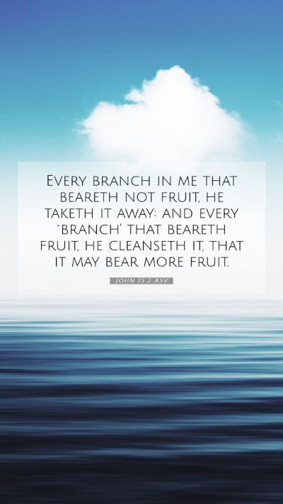 Picture 07 - John 15:2 ASV Mobile Phone Wallpaper - Every branch in me that beareth not fruit, he - Mobile Bible Verse Wallpaper