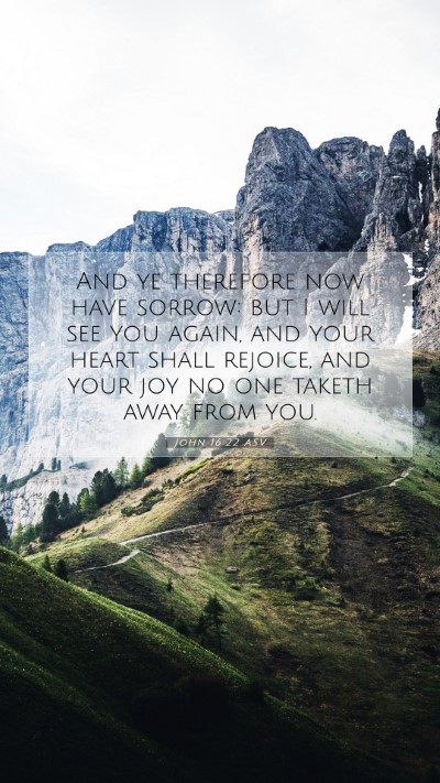 Picture 07 - John 16:22 ASV Mobile Phone Wallpaper - And ye therefore now have sorrow: but I will see - Mobile Bible Verse Wallpaper