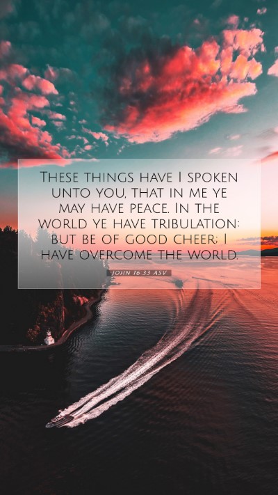 Picture 07 - John 16:33 ASV Mobile Phone Wallpaper - These things have I spoken unto you, that in me - Mobile Bible Verse Wallpaper