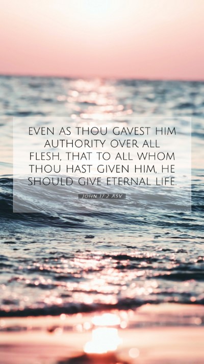 Picture 07 - John 17:2 ASV Mobile Phone Wallpaper - even as thou gavest him authority over all flesh, - Mobile Bible Verse Wallpaper