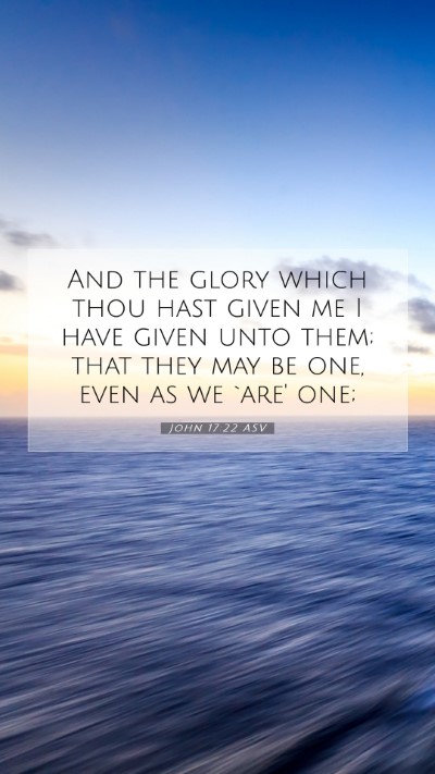 Picture 07 - John 17:22 ASV Mobile Phone Wallpaper - And the glory which thou hast given me I have - Mobile Bible Verse Wallpaper