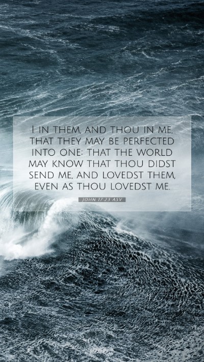 Picture 07 - John 17:23 ASV Mobile Phone Wallpaper - I in them, and thou in me, that they may be - Mobile Bible Verse Wallpaper