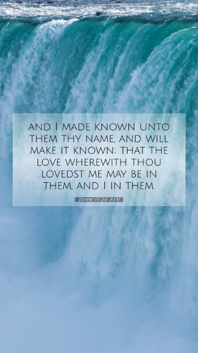 Picture 07 - John 17:26 ASV Mobile Phone Wallpaper - and I made known unto them thy name, and will - Mobile Bible Verse Wallpaper