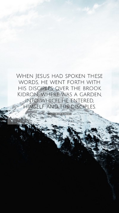 Picture 07 - John 18:1 ASV Mobile Phone Wallpaper - When Jesus had spoken these words, he went forth - Mobile Bible Verse Wallpaper