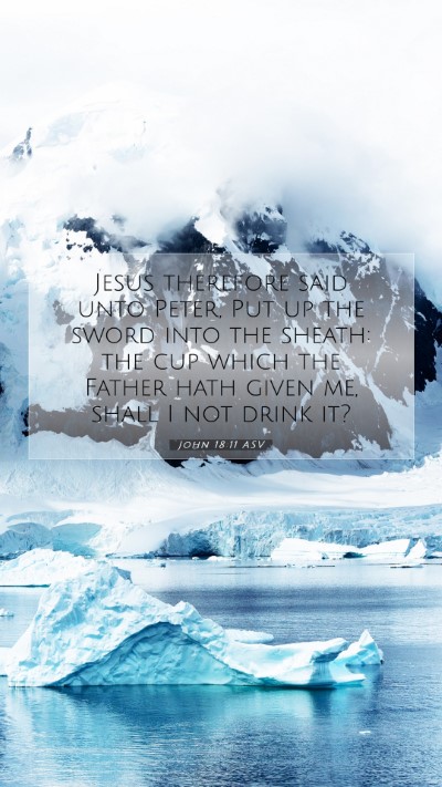 Picture 07 - John 18:11 ASV Mobile Phone Wallpaper - Jesus therefore said unto Peter, Put up the sword - Mobile Bible Verse Wallpaper