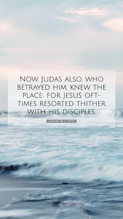 Picture 07 - John 18:2 ASV Mobile Phone Wallpaper - Now Judas also, who betrayed him, knew the place: - Mobile Bible Verse Wallpaper