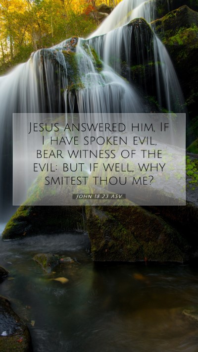 Picture 07 - John 18:23 ASV Mobile Phone Wallpaper - Jesus answered him, If I have spoken evil, bear - Mobile Bible Verse Wallpaper