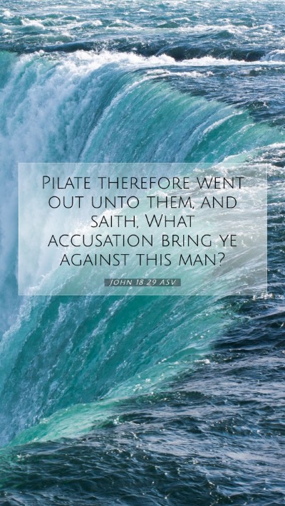 Picture 07 - John 18:29 ASV Mobile Phone Wallpaper - Pilate therefore went out unto them, and saith, - Mobile Bible Verse Wallpaper