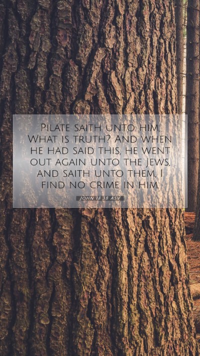 Picture 07 - John 18:38 ASV Mobile Phone Wallpaper - Pilate saith unto him, What is truth? And when he - Mobile Bible Verse Wallpaper