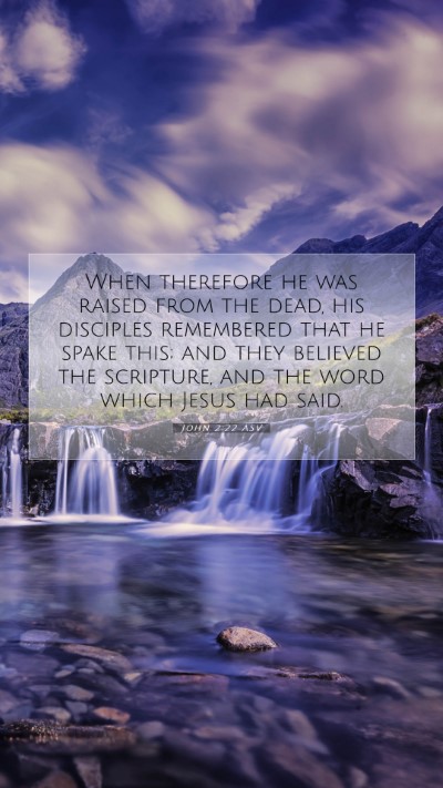 Picture 07 - John 2:22 ASV Mobile Phone Wallpaper - When therefore he was raised from the dead, his - Mobile Bible Verse Wallpaper