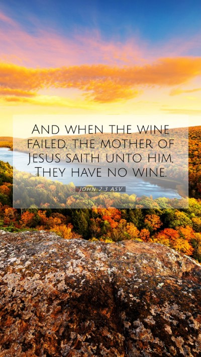 Picture 07 - John 2:3 ASV Mobile Phone Wallpaper - And when the wine failed, the mother of Jesus - Mobile Bible Verse Wallpaper