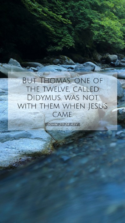 Picture 07 - John 20:24 ASV Mobile Phone Wallpaper - But Thomas, one of the twelve, called Didymus, - Mobile Bible Verse Wallpaper