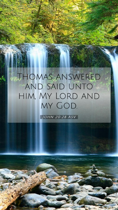 Picture 07 - John 20:28 ASV Mobile Phone Wallpaper - Thomas answered and said unto him, My Lord and my - Mobile Bible Verse Wallpaper