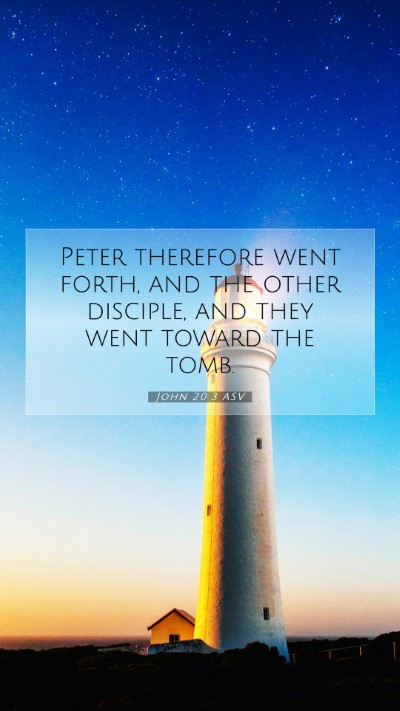 Picture 07 - John 20:3 ASV Mobile Phone Wallpaper - Peter therefore went forth, and the other - Mobile Bible Verse Wallpaper