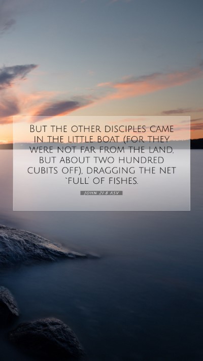 Picture 07 - John 21:8 ASV Mobile Phone Wallpaper - But the other disciples came in the little boat - Mobile Bible Verse Wallpaper