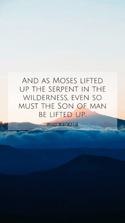 Picture 07 - John 3:14 ASV Mobile Phone Wallpaper - And as Moses lifted up the serpent in the - Mobile Bible Verse Wallpaper