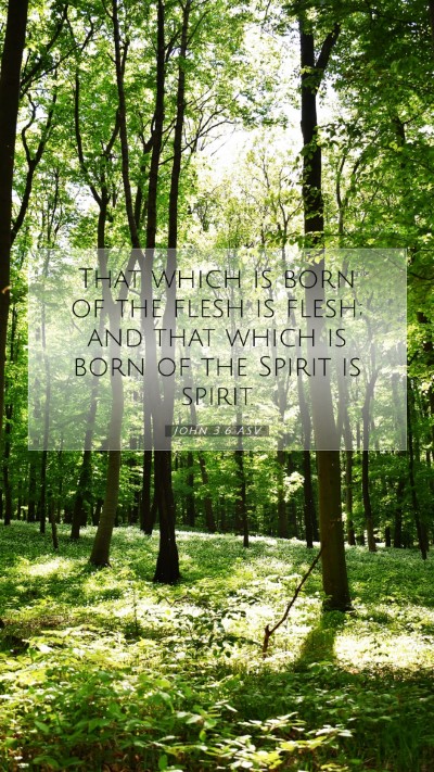 Picture 07 - John 3:6 ASV Mobile Phone Wallpaper - That which is born of the flesh is flesh; and - Mobile Bible Verse Wallpaper