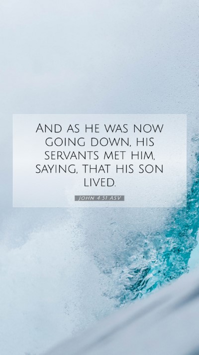 Picture 07 - John 4:51 ASV Mobile Phone Wallpaper - And as he was now going down, his servants met - Mobile Bible Verse Wallpaper
