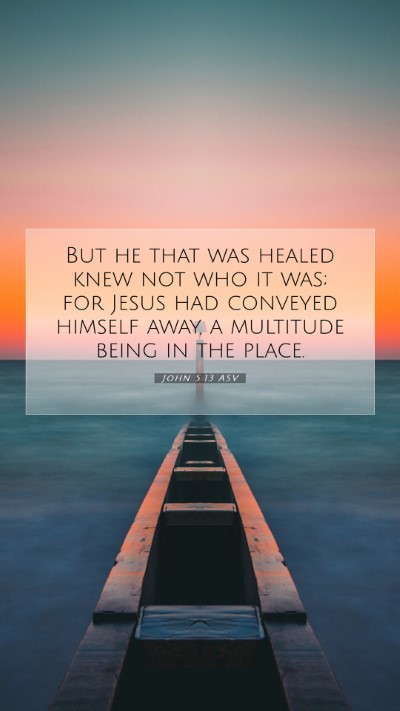Picture 07 - John 5:13 ASV Mobile Phone Wallpaper - But he that was healed knew not who it was; for - Mobile Bible Verse Wallpaper